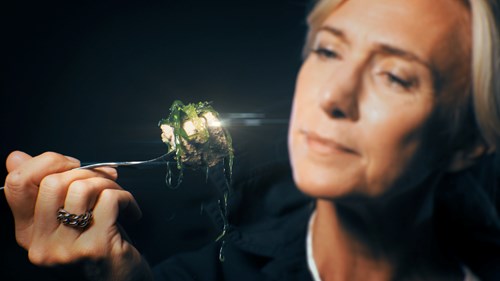 dokumentarprogrammet videnskabens verden på svt2