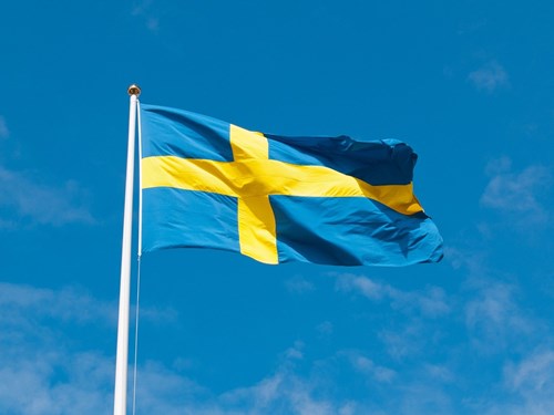 Sveriges nationaldag, 6. juni, historie, det svenske flag