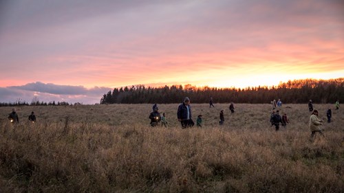 true crime serie, jagten på en morder, svt, svensk tv